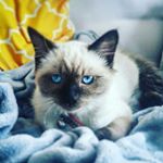 Profile Picture of jeremdu39 (@jeremy.morland) on Instagram