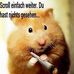 Profile Picture of Peter Laufenberg (@peter.laufenberg.16) on Facebook