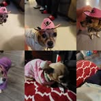 Profile Picture of Yolanda Soltero (@Yolanda-Soltero) on Facebook