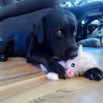 Profile Picture of Makayla Buchanan (@Makayla-Buchanan) on Facebook