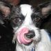 Profile Picture of Brian Shackford (@brian.shackford.9) on Facebook