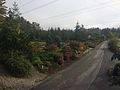 Profile Picture of Remlinger Farms - Wikipediaon Wikipedia