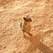 Ryan Witt - Youtube Profile Picture of Ryan Witt (@ryanwitt7918) on Youtube