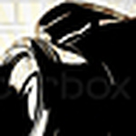 Profile Picture of Ritchie K (@iits.rich) on Flickr