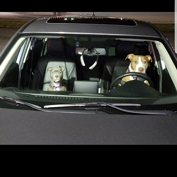 Profile Picture of Douglas Compton (@hdc1134) on Poshmark