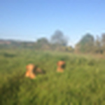 Profile Picture of Jeremy Dixon (@ochilfoods) on Flickr