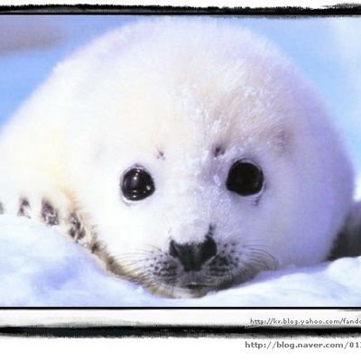 Profile Picture of 윤월향🤪 (@Mul_bum_kim) on Twitter