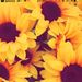 Profile Picture of Peter|Panic (@lesser62) on Pinterest