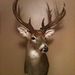 Profile Picture of Scott Robinett (@robinett2494) on Pinterest