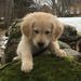 Profile Picture of Hannah Hoyt (@hannahh9752) on Pinterest