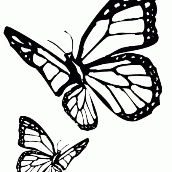 Profile Picture of Carly Pierce (@carly_ada) on Poshmark