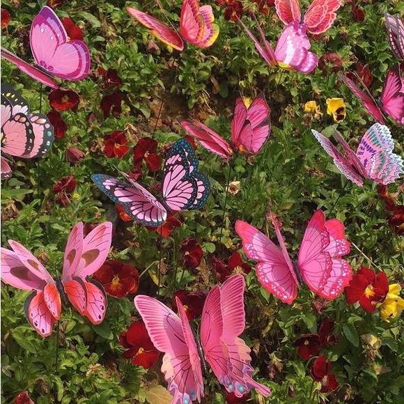 Profile Picture of Carolynn Macoviak (@strawbgirl) on Poshmark