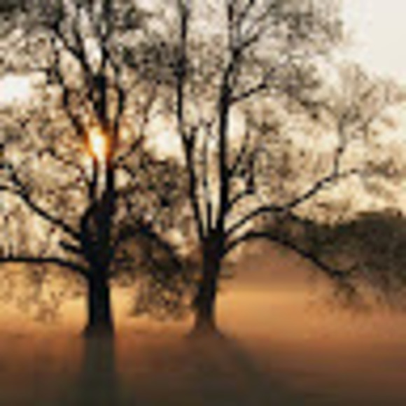 Profile Picture of Oswaldo González (@oswaldo2384) on Poshmark