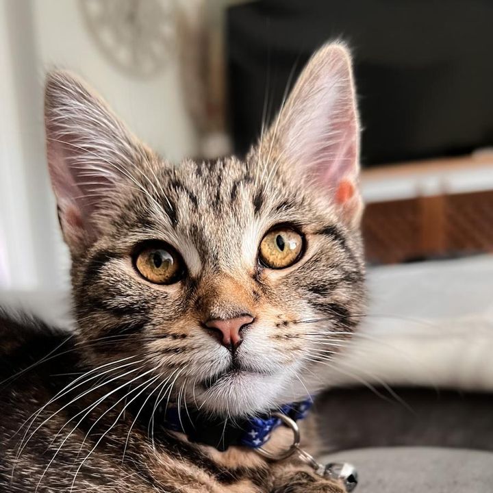 Profile Picture of andrea.lewin7 (@andrea.lewin7) on Tiktok