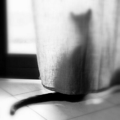 Profile Picture of Agnes Koh Siew Huey (@@siewhuey) on Twitter