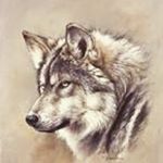 Profile Picture of joshua blevins (@retarded_niglet) on Instagram