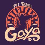 Profile Picture of Gaya Pet Resort (@dogfitness) on Instagram