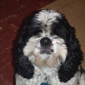 Profile Picture of Dede Smith (@162688653) on Myspace