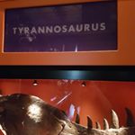 Profile Picture of Chris Lindell (@chris.lindell.75) on Instagram