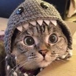 Profile Picture of Jack Rabenstein (@jackrabenstein) on Instagram