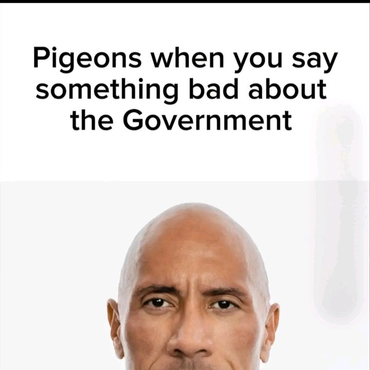 Profile Picture of FreeĐaMan (@freedaman14) on Tiktok