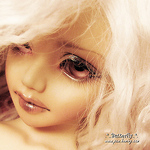 Profile Picture of Zhou Ziyan (@lovely paw) on Flickr