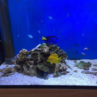 Profile Picture of 岩崎 有紀子 (@iwasaki_yukiko) on Instagram