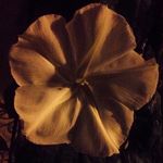 Profile Picture of Bruce Kramer (@makemarkmature) on Instagram