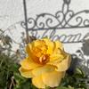 Profile Picture of user5188232363438 (@debbiehidalgo11) on Tiktok