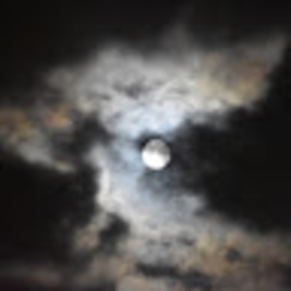 Profile Picture of Renee Burke (@renee2114) on Poshmark