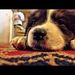 Profile Picture of Jacob McNeece (@jacob4759) on Pinterest