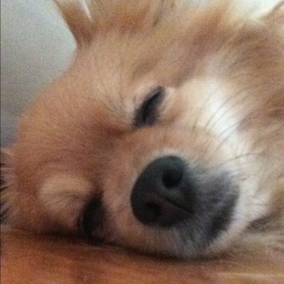 Profile Picture of Michael Do (@what_the_pho) on Poshmark