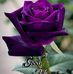 Profile Picture of Kamlesh Kumar Patel (@kamleshkumar.patel.3745) on Facebook