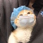 Profile Picture of 击 (@shelly_.kater) on Instagram