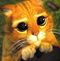 Profile Picture of Jonathan Samaniego (@jonathan.samaniego.330) on Facebook
