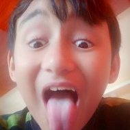 Profile Picture of William Haase (@williamhaase11) on Twitter