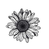 Profile Picture of Júlia Serra Andújar (@júlia-serra-andújar) on Quora