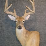 Profile Picture of Brent Chopp (@brent.chopp.5) on Facebook