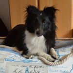 Stephanie Tiemann - Instagram Profile Picture of Stephanie Tiemann (@enjoy_the_magic_moment) on Instagram