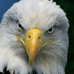Profile Picture of David McCosh (@david.mccosh.33) on Instagram