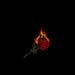 Profile Picture of Aaron Joseph Reji Eapen (@aaronjosephrejieapen) on Pinterest