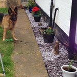 Profile Picture of Scroggins Amanda (@fredbitthenorn) on Instagram