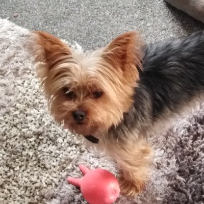 Deborah Hoskins - Twitter Profile Picture of Deborah Hoskins (@debhoskins6) on Twitter