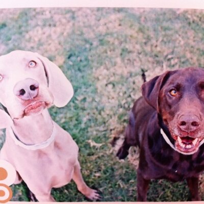 Profile Picture of Kate Vaughn (@mkatev) on Twitter