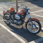 Profile Picture of Leo Calabrese (@leonard_calabrese) on Instagram