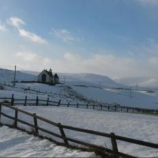 Profile Picture of Mike Diack (@diack_mike) on Twitter