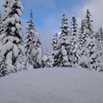 Profile Picture of Benjamin Pringle (@_houndinpowder_) on Instagram