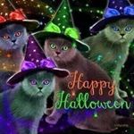 Shawna Whitehead - Instagram Profile Picture of Shawna Whitehead (@whiteheadshawna) on Instagram