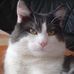 Profile Picture of Kim Neubauer (@kim.neubauer.129) on Facebook