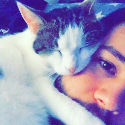 Profile Picture of Michael Rohner (@mike_rohner) on Twitter
